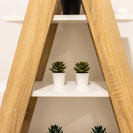 Apartamento Zeus Downtown *