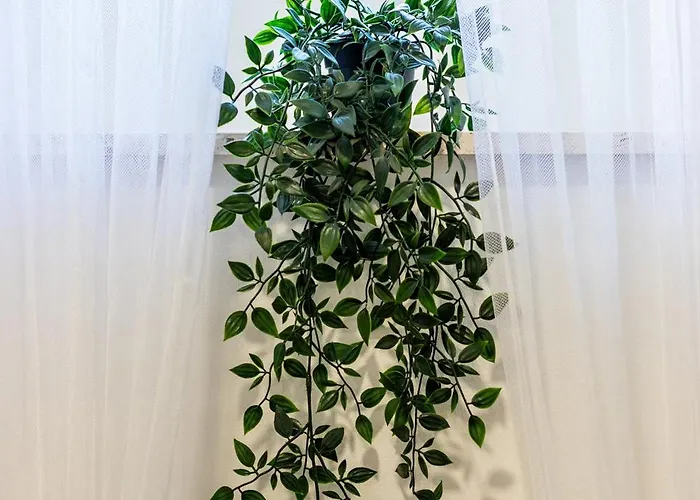 Zeus Downtown Спліт